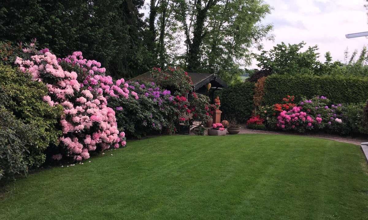 Photo of Outdoor in Bad Sassendorf