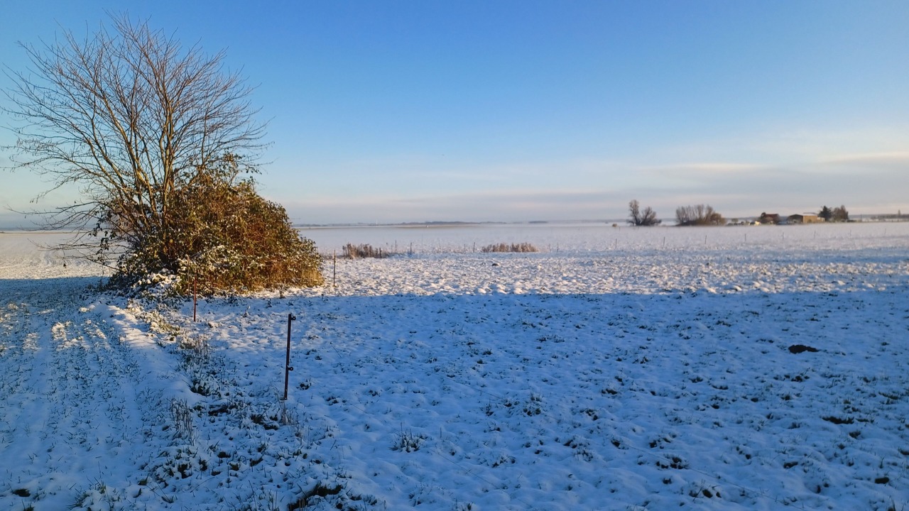 Photo of Others in Klockenhagen