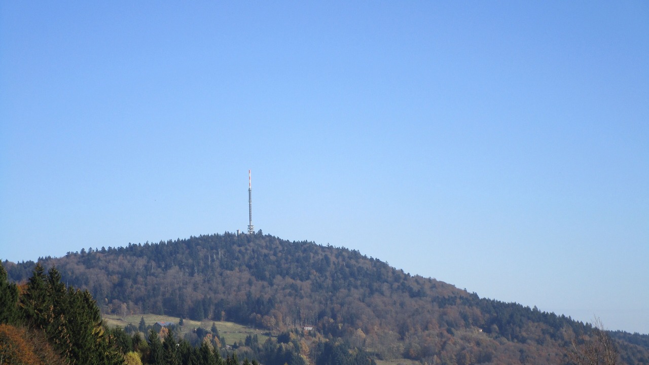 Photo of Others in Steinberg