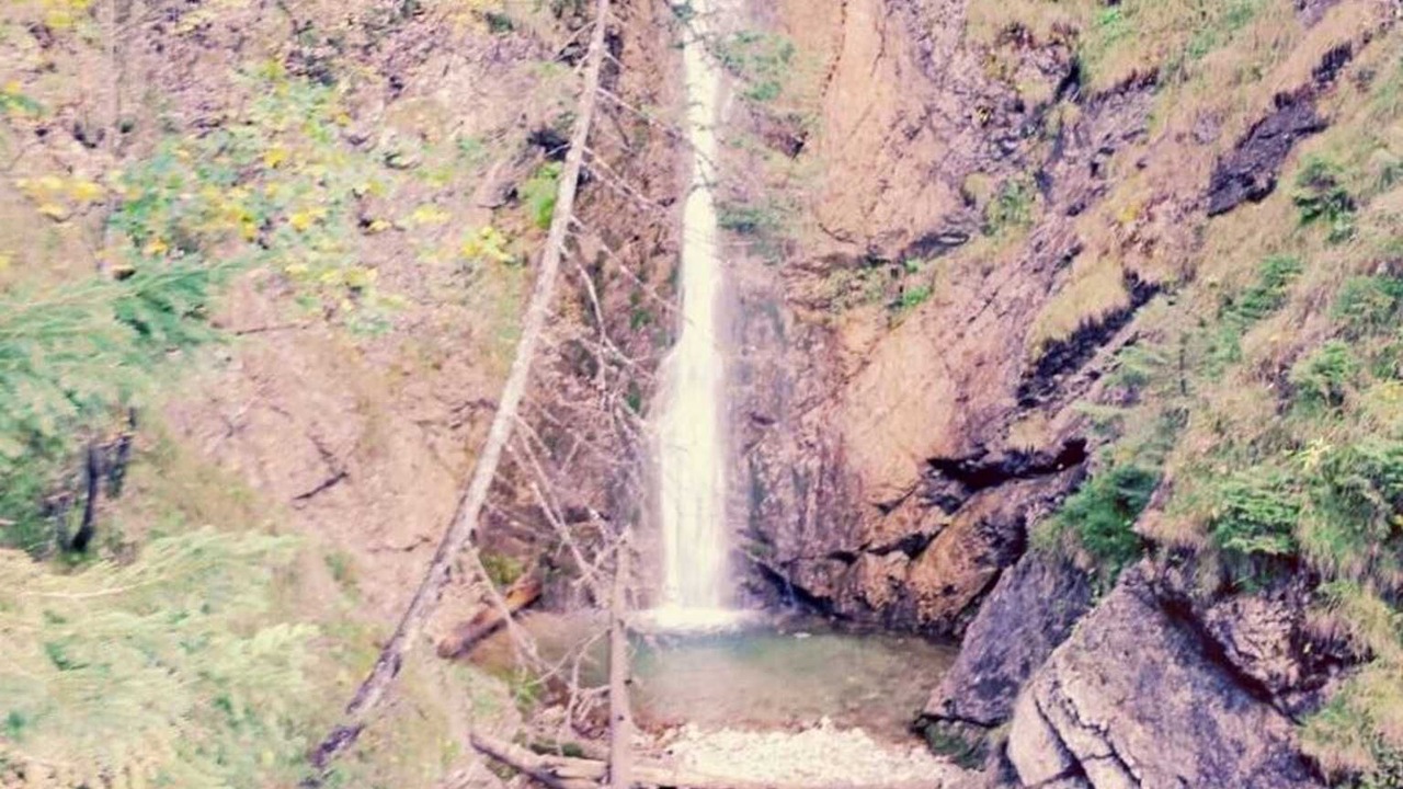 Photo of Others in Nesselwaengle