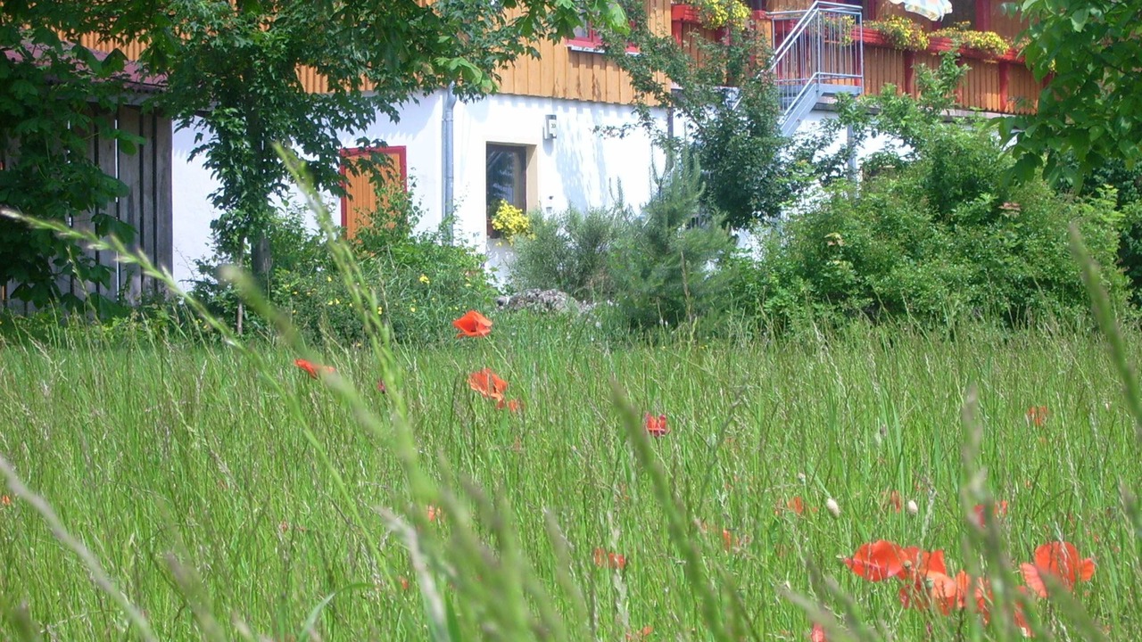 Photo of Outdoor in Waischenfeld