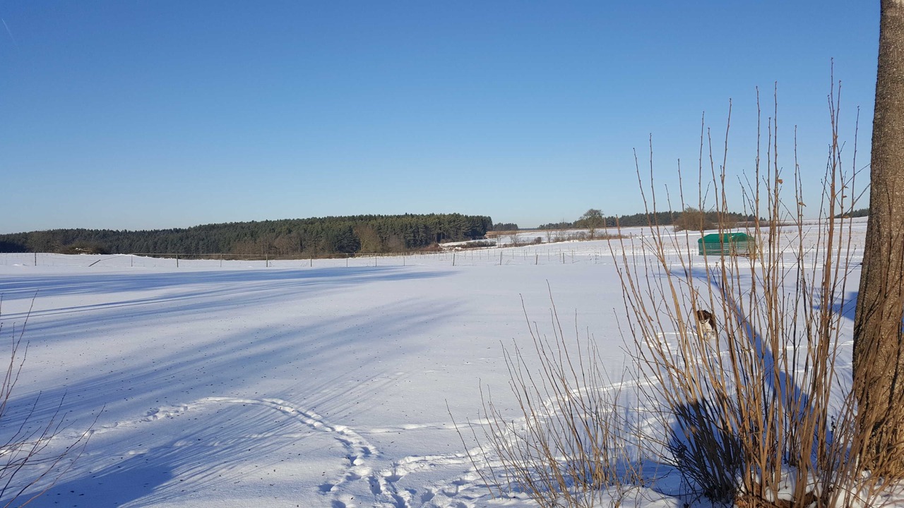Photo of Outdoor in Waischenfeld