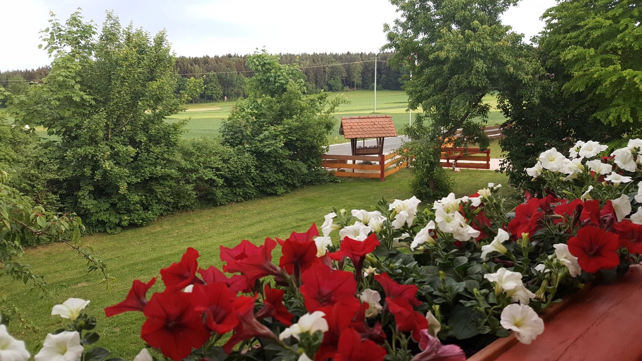 Photo of Outdoor in Waischenfeld