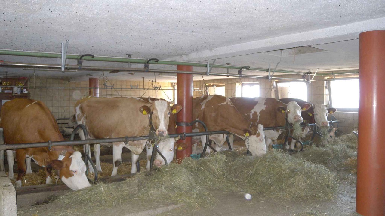 Photo of Outdoor in Bruck am Ziller