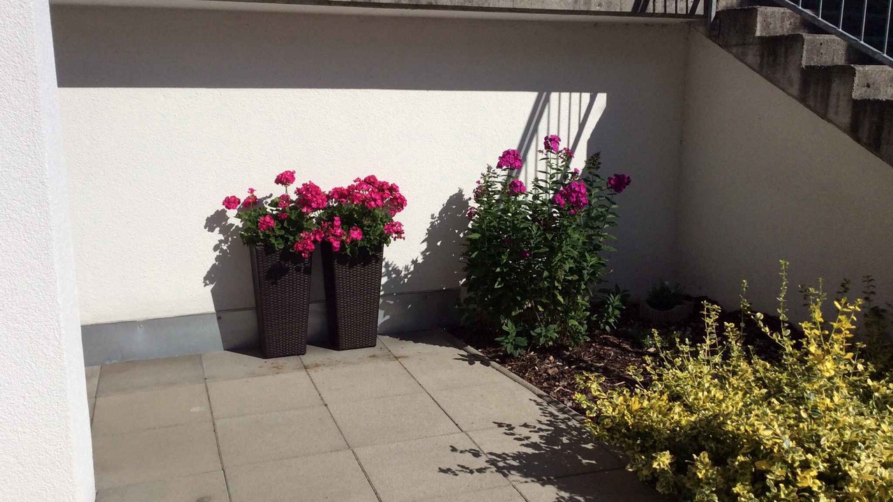 Photo of Outdoor in Medraz