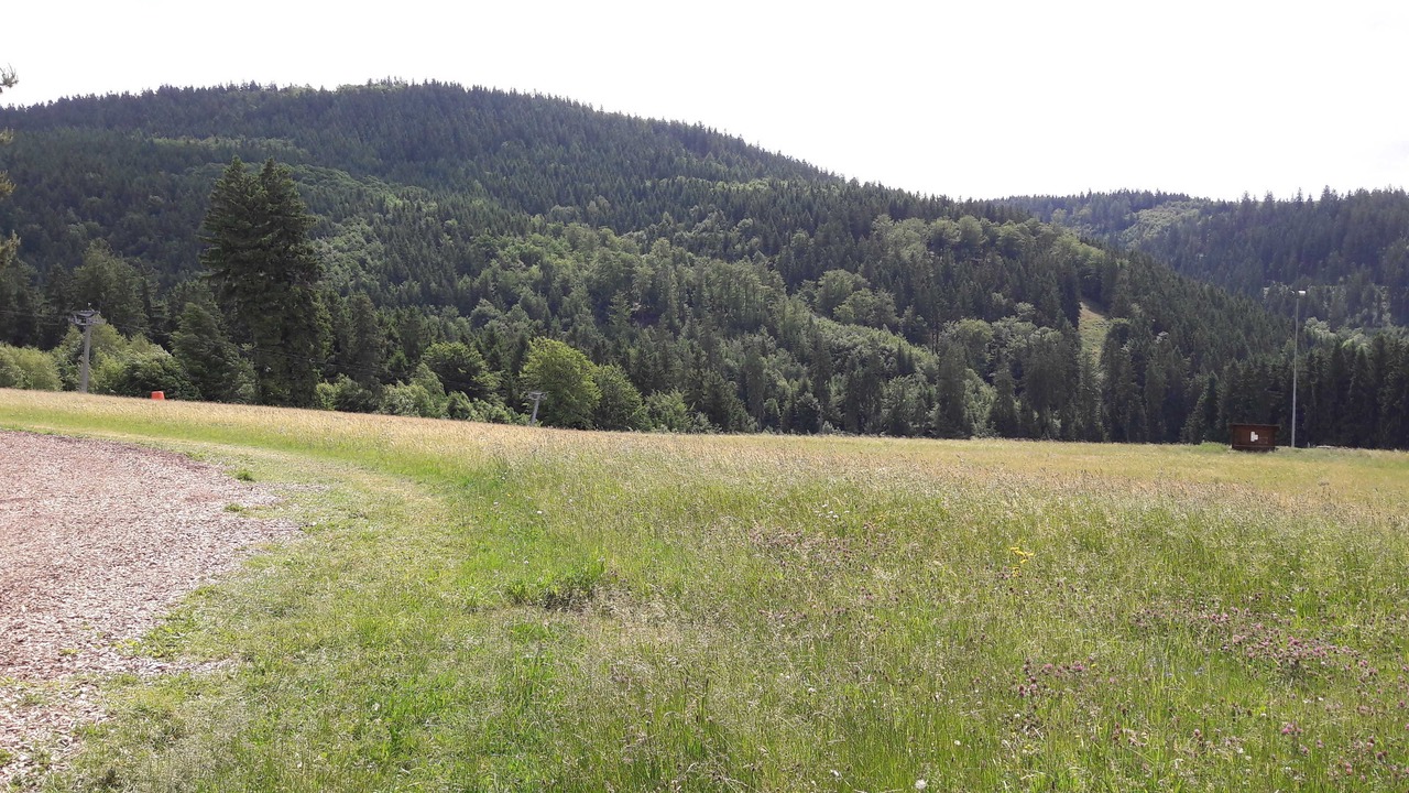 Photo of Others in Schwarzenbach am Wald