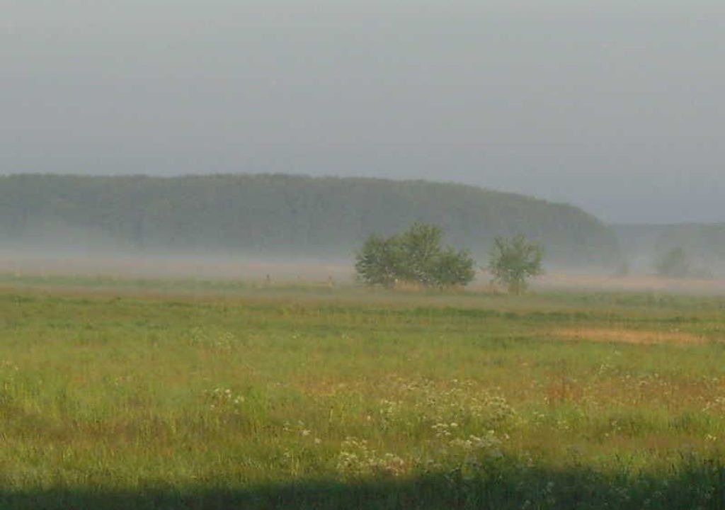 Photo of Others in Trassenheide