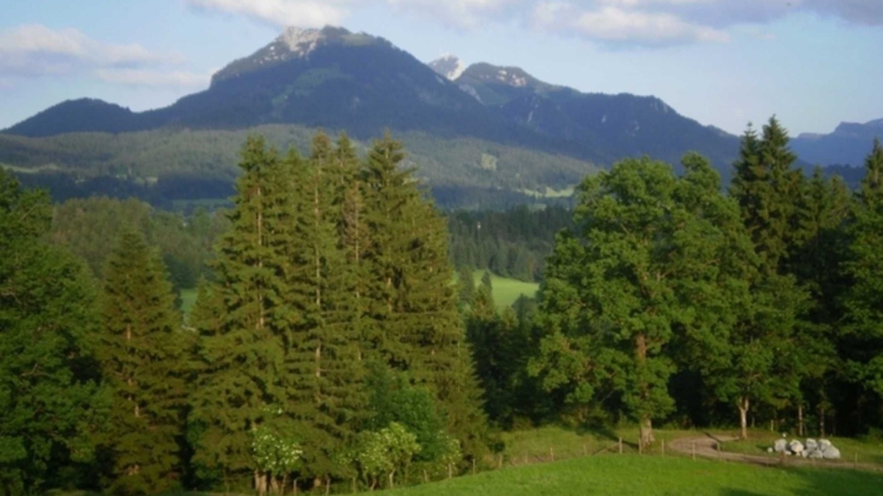 Photo of Others in Fischbachau