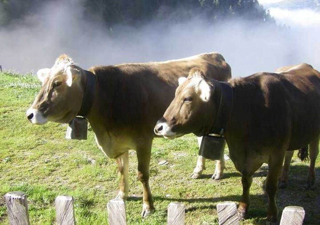Photo of Others in Nauders