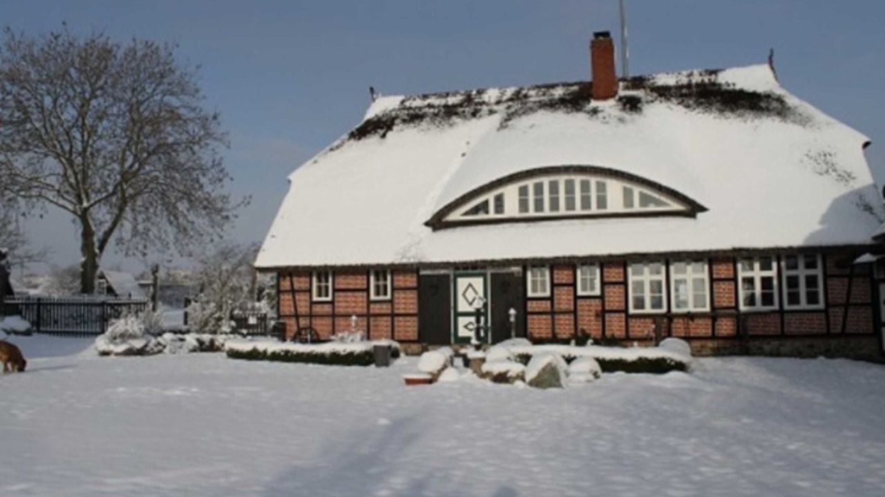 Photo of Outdoor in Alt Reddevitz