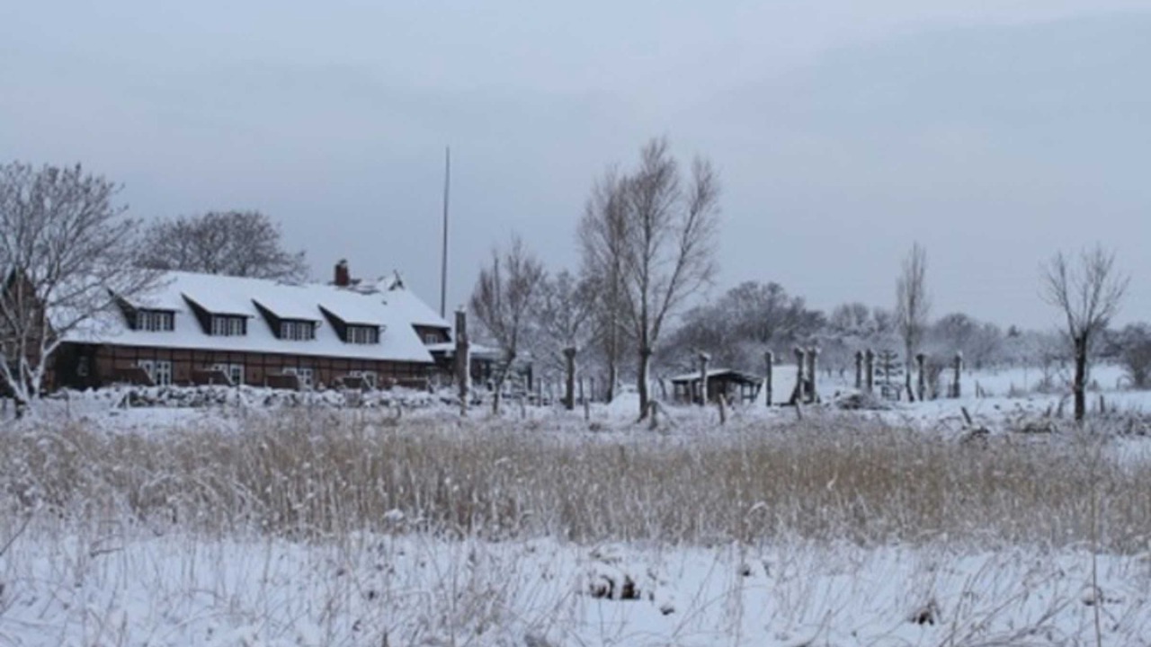 Photo of Others in Alt Reddevitz
