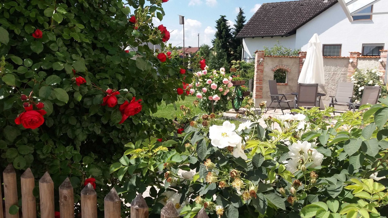Photo of Outdoor in Furstenfeldbruck District