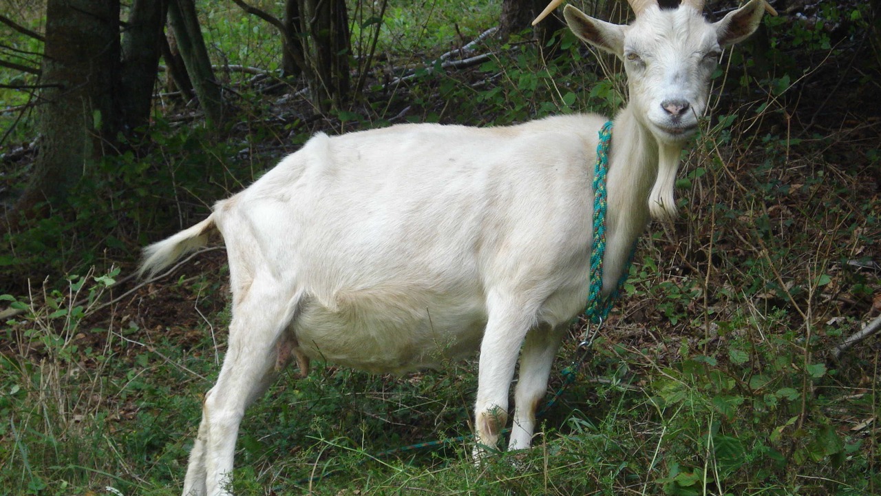 Photo of Others in Groenohe