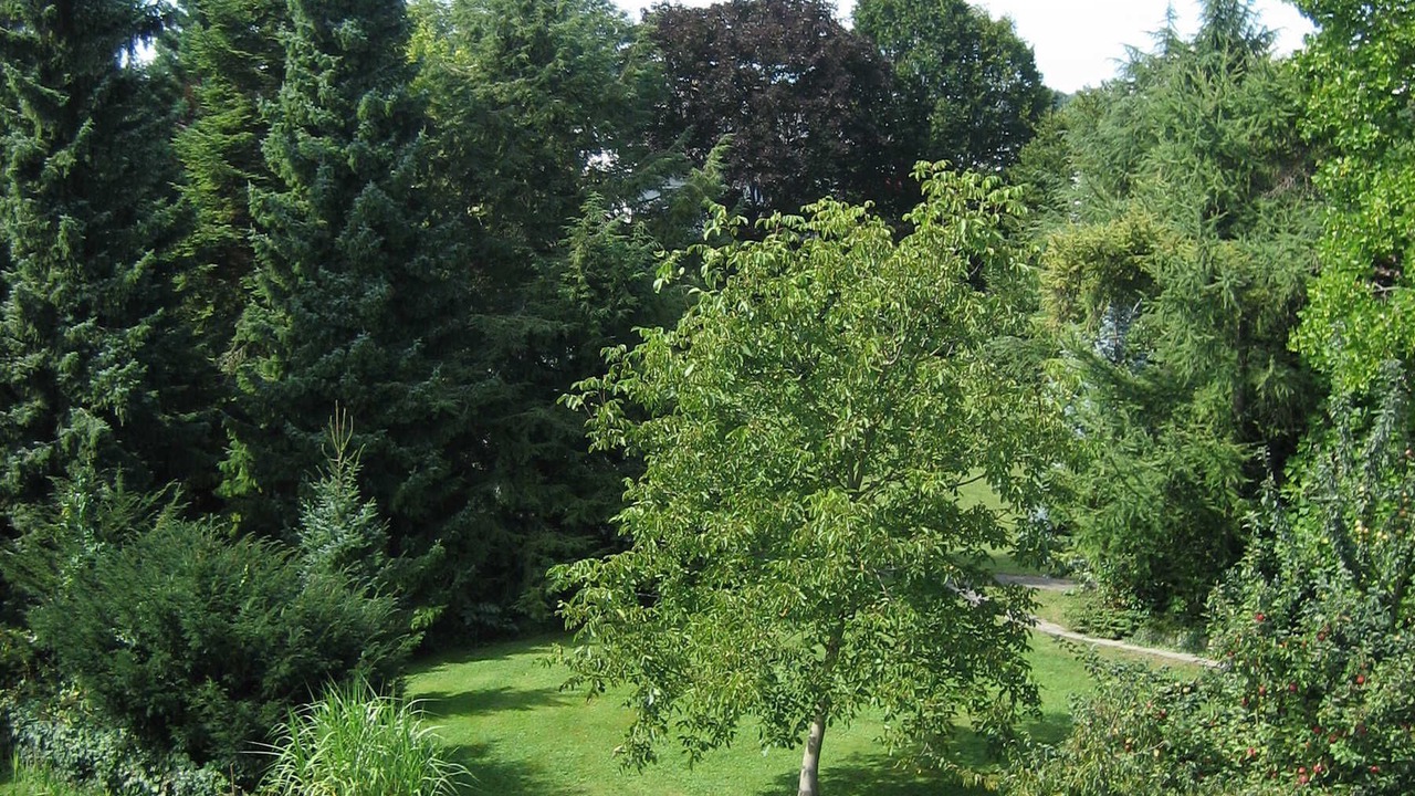Photo of Outdoor in Immenstaad am Bodensee