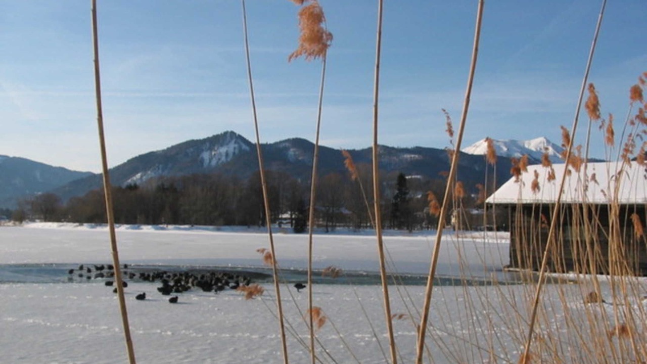 Photo of Others in Bad Wiessee