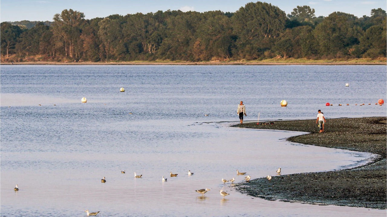 Photo of Others in Travemuende