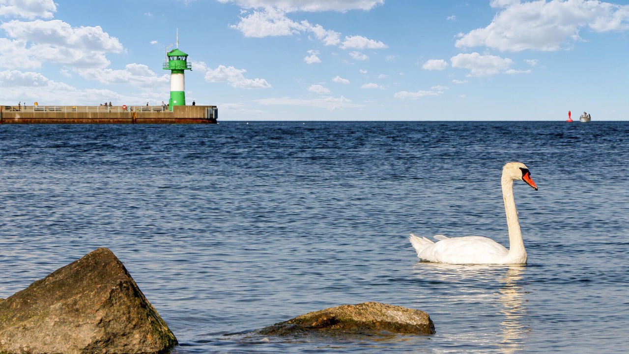 Photo of Others in Travemuende