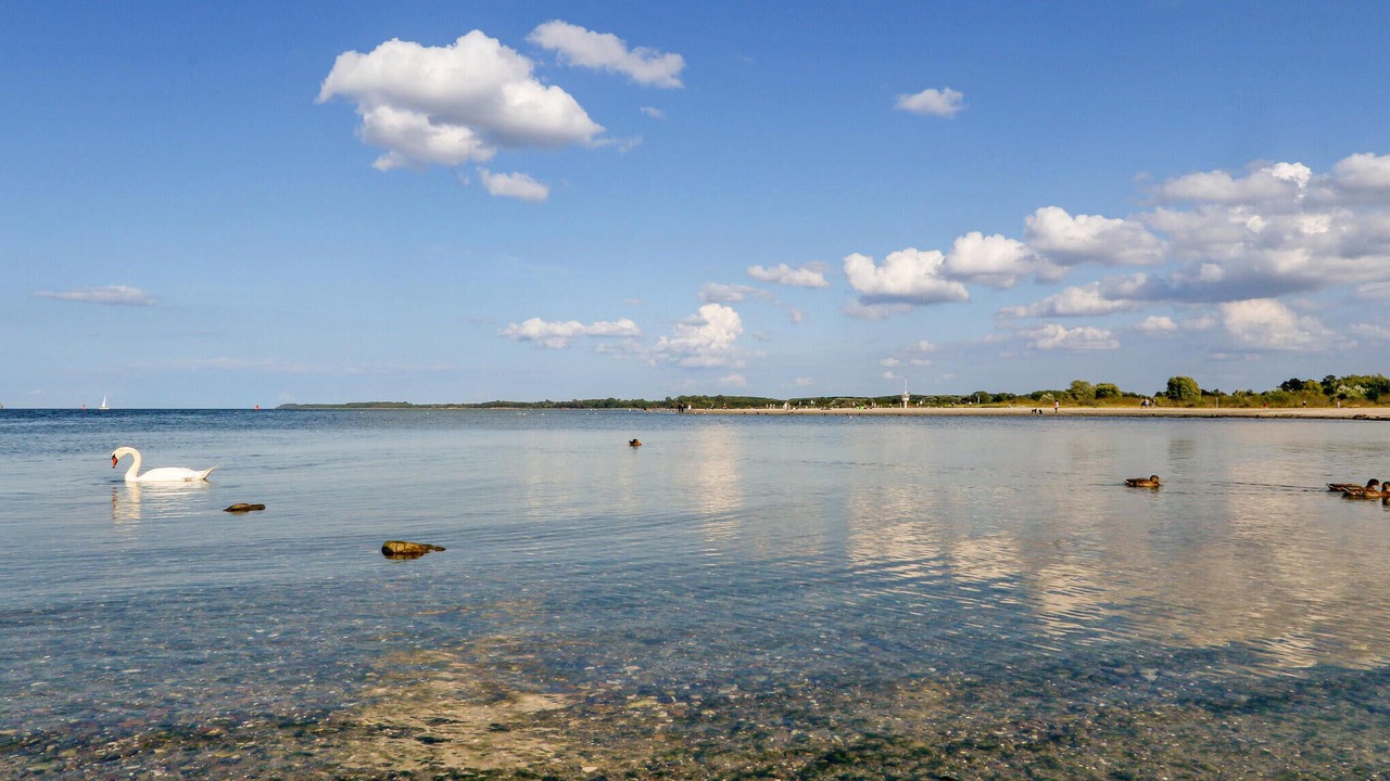 Photo of Others in Travemuende