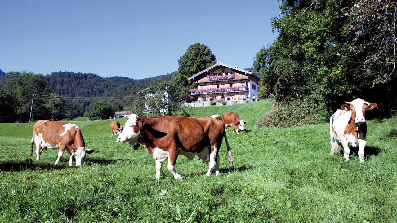 Photo of Others in Kreuth