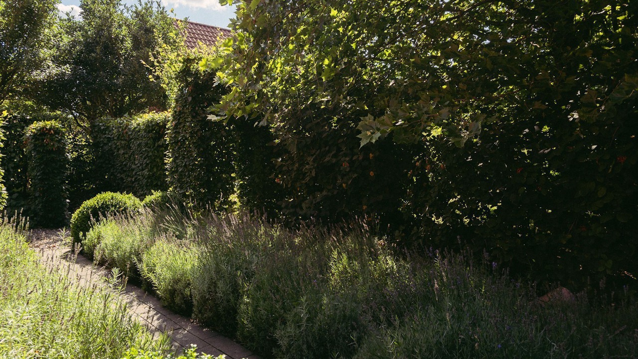 Photo of Outdoor in Quilitz