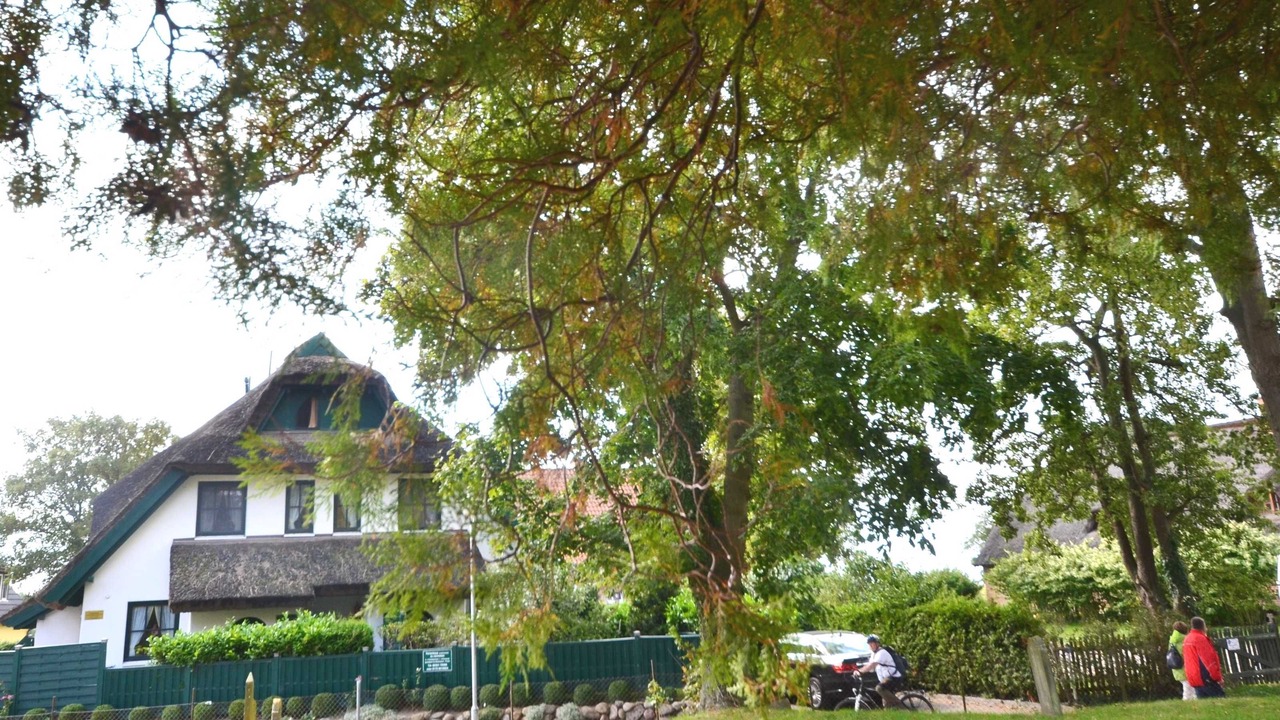 Photo of Outdoor in Gross Zicker