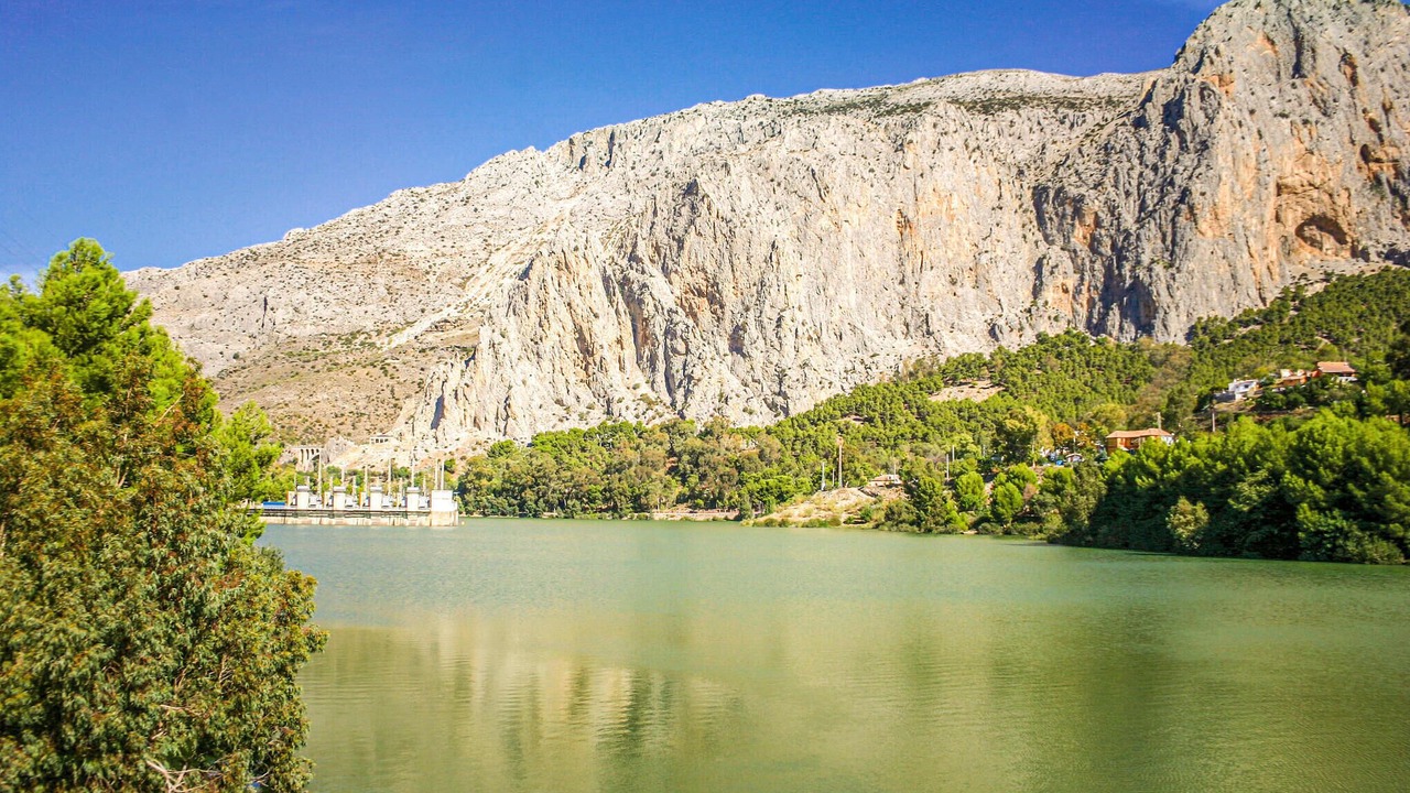 Photo of Others in Alora