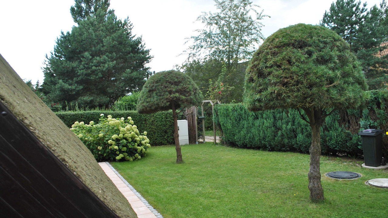 Photo of Outdoor in Quilitz
