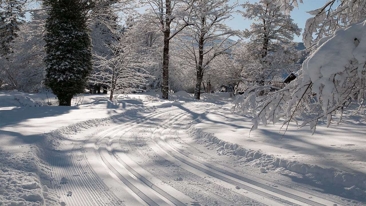 Photo of Others in Riedlern