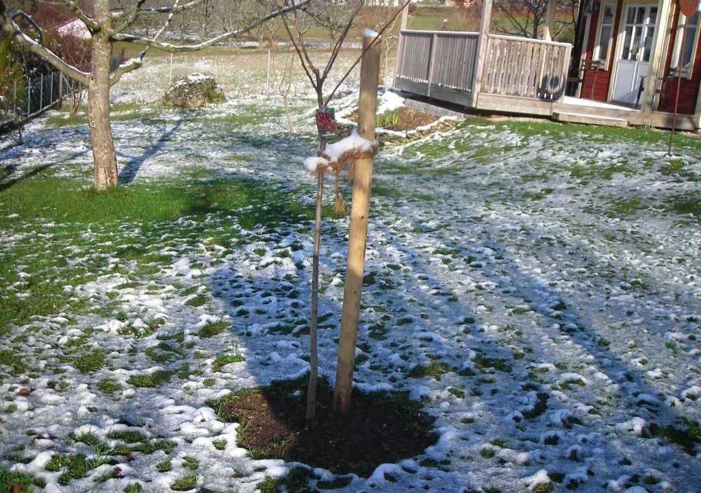 Photo of Outdoor in Goessweinstein