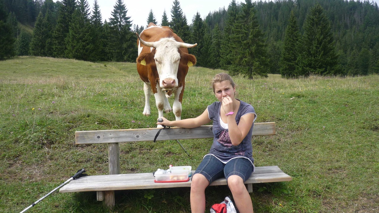 Photo of Others in Durnbach