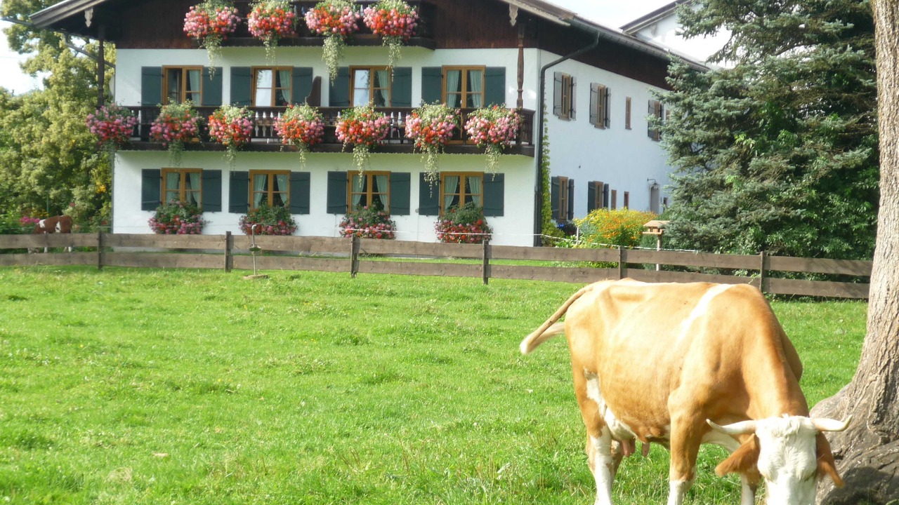 Photo of Outdoor in Durnbach