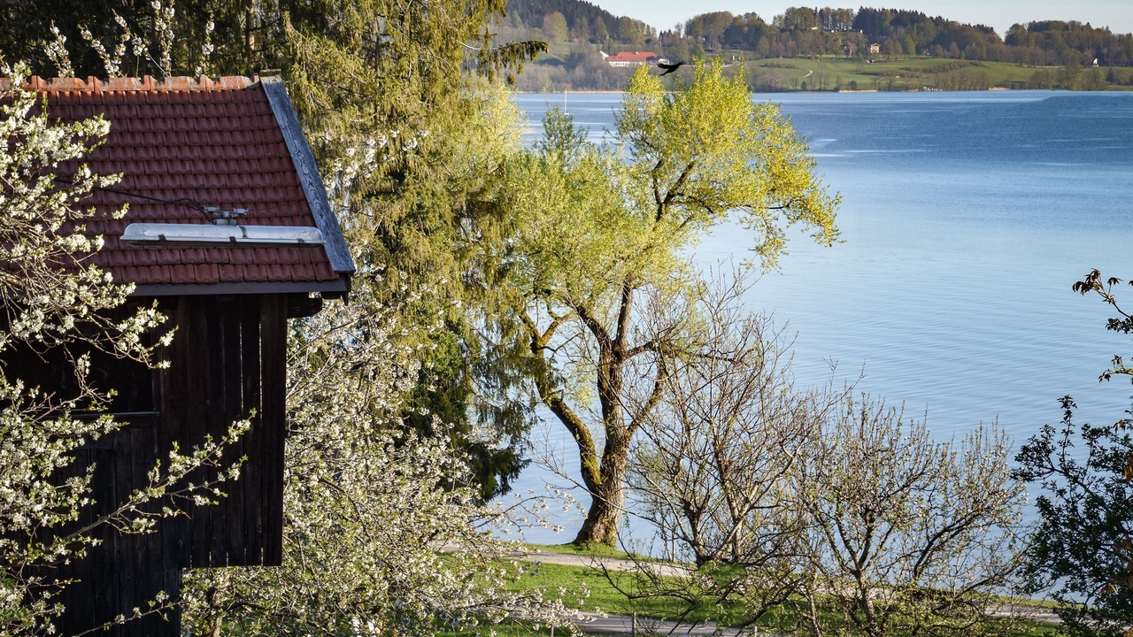 Photo of Others in Bad Wiessee