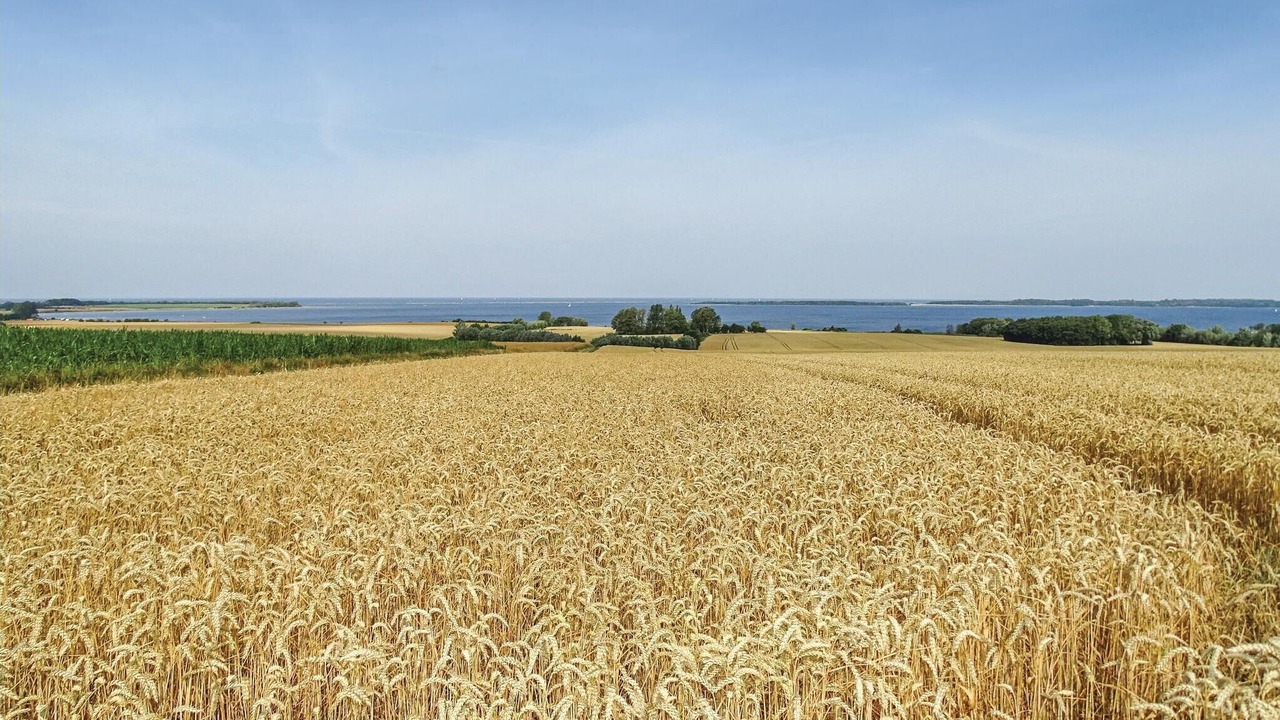 Photo of Others in Boiensdorf