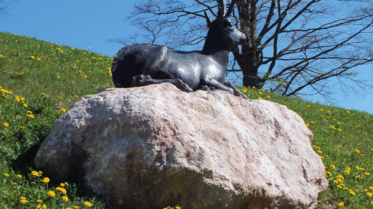 Photo of Others in Bayrischzell