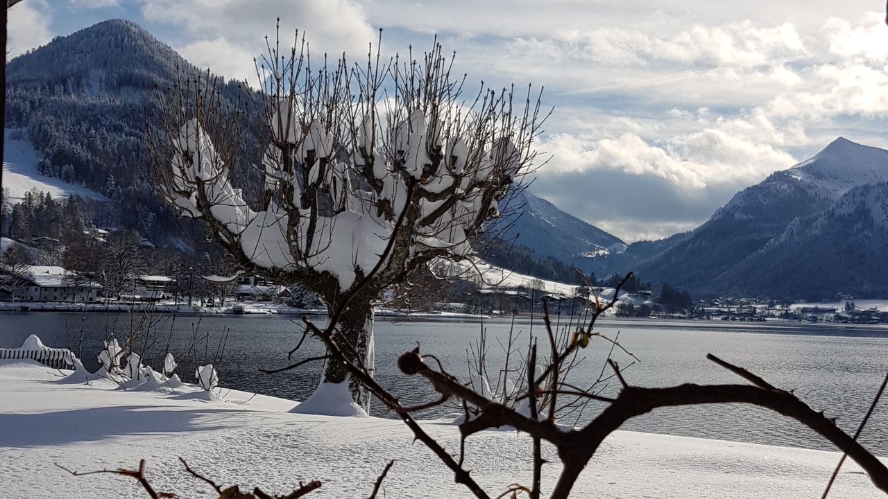 Photo of Others in Schliersee