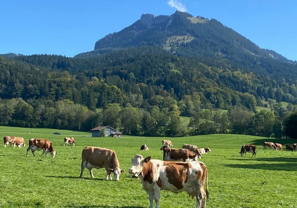 Photo of Others in Fischbachau