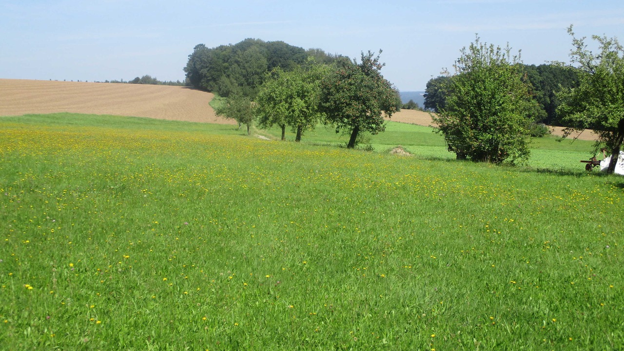 Photo of Others in Preunschen