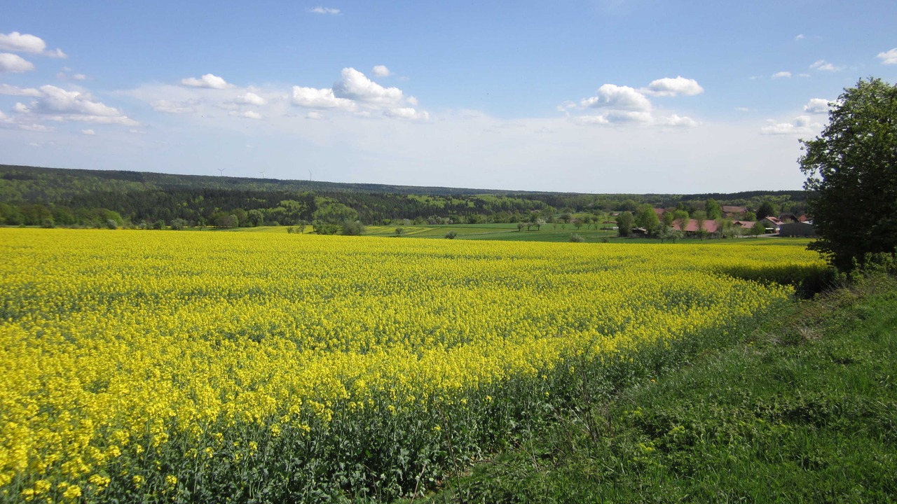 Photo of Others in Preunschen