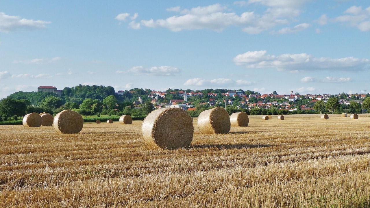 Photo of Others in Schillingsfuerst