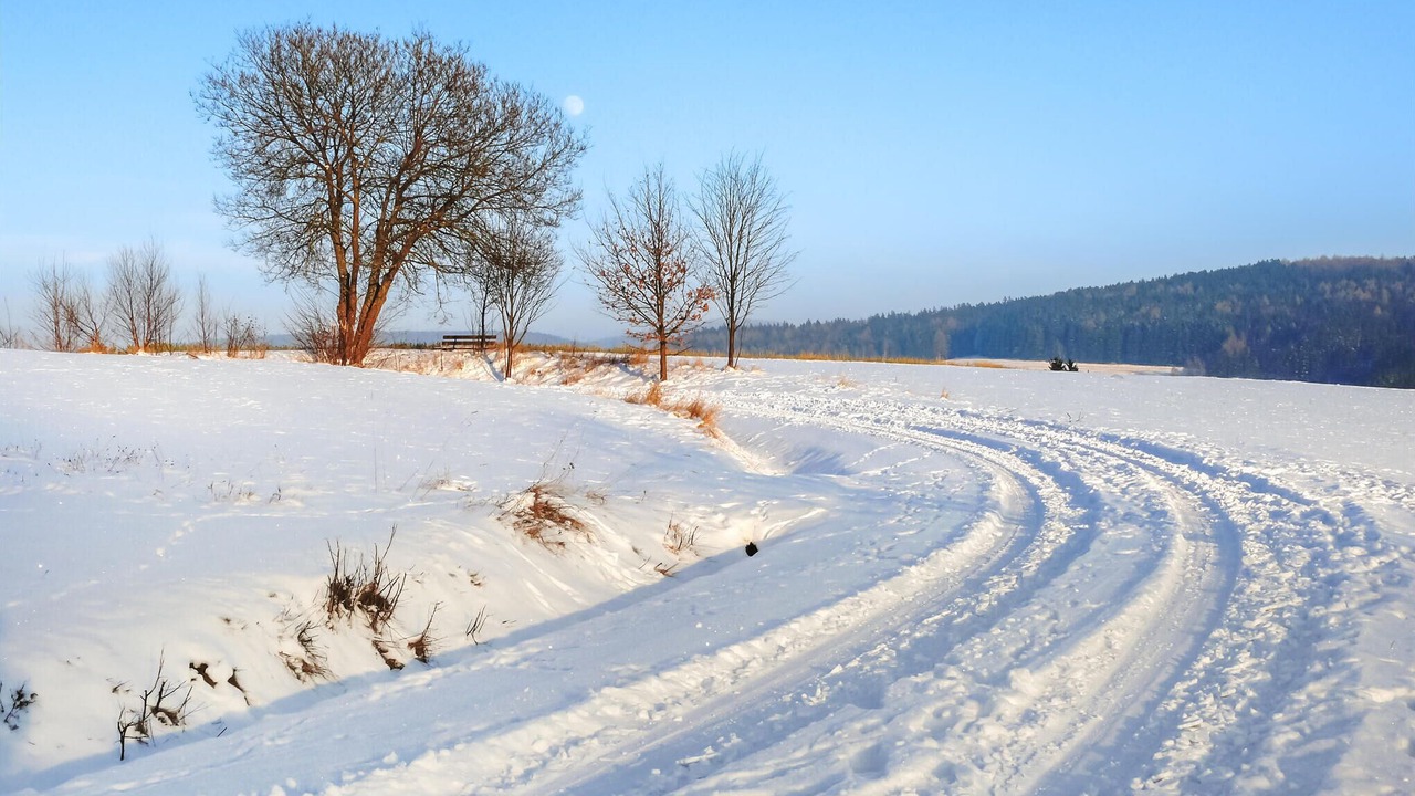 Photo of Others in Waldthurn