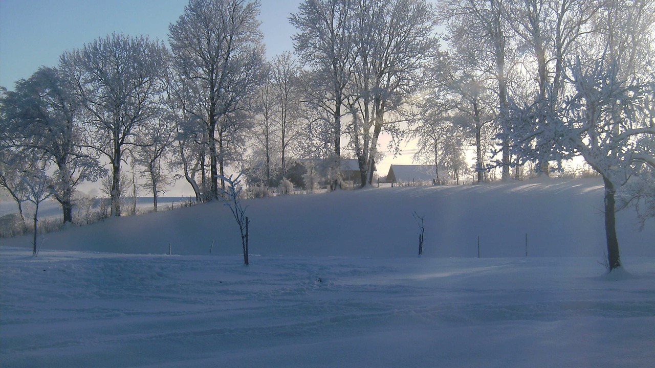 Photo of Others in Fischbachau