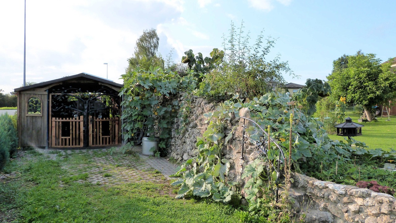 Photo of Outdoor in Hollfeld