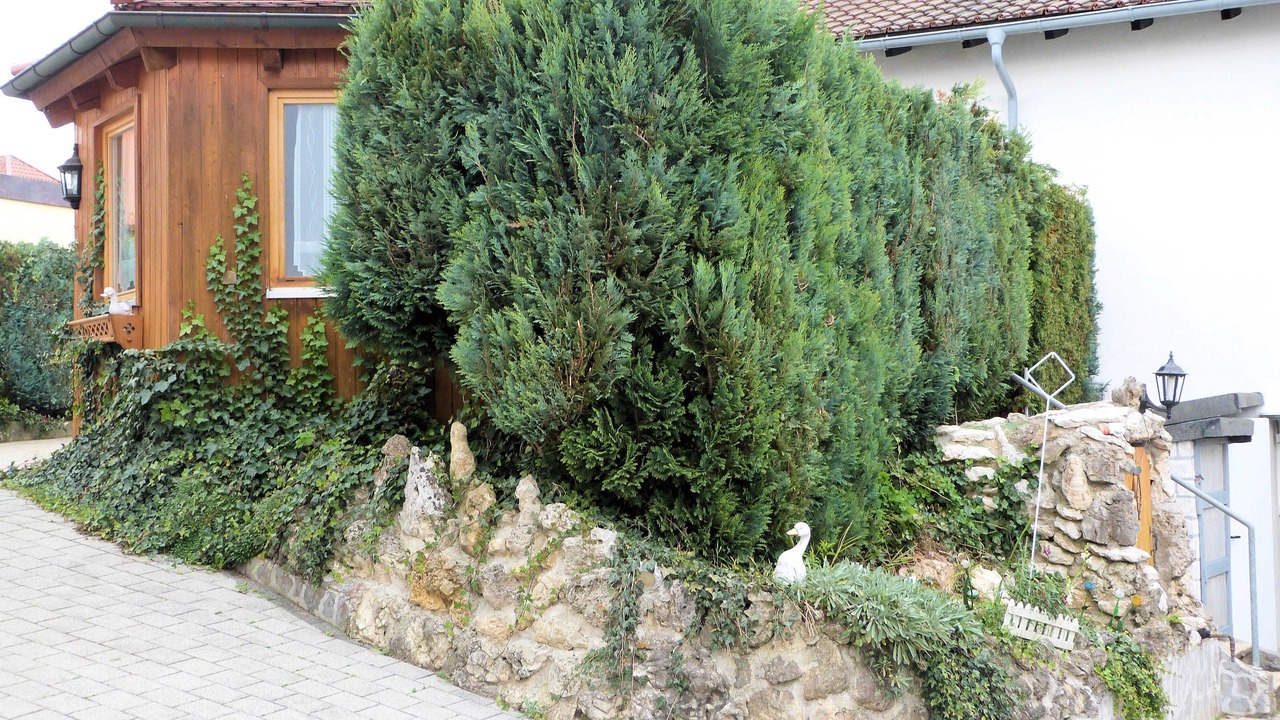Photo of Outdoor in Hollfeld