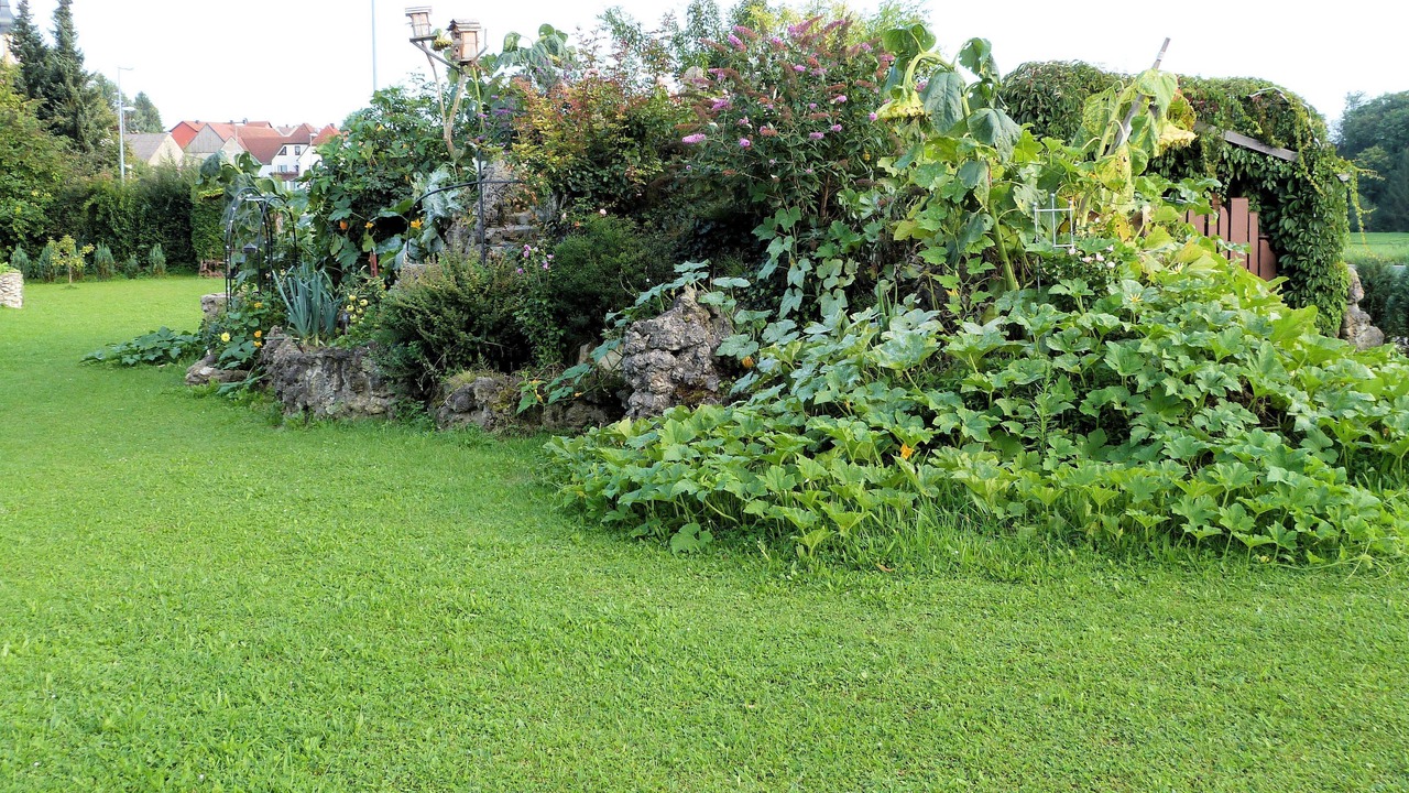 Photo of Outdoor in Hollfeld