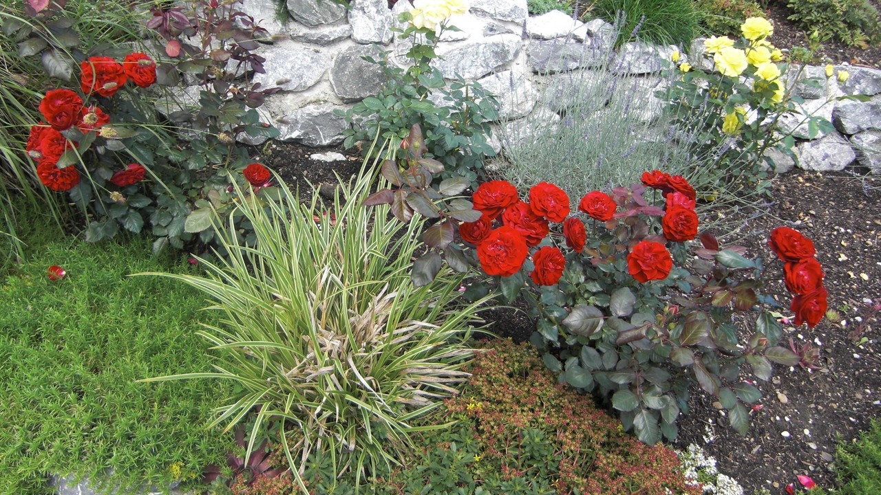 Photo of Outdoor in Oberkirch