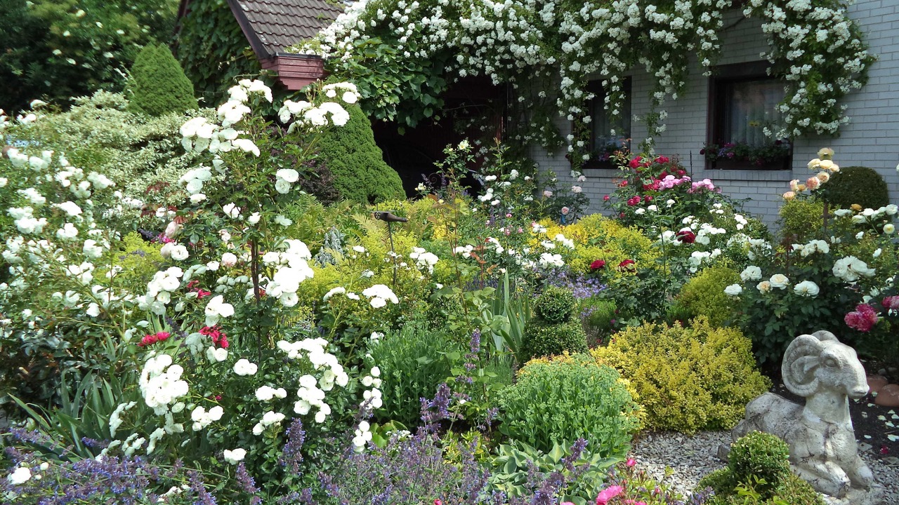 Photo of Outdoor in Ebermannstadt