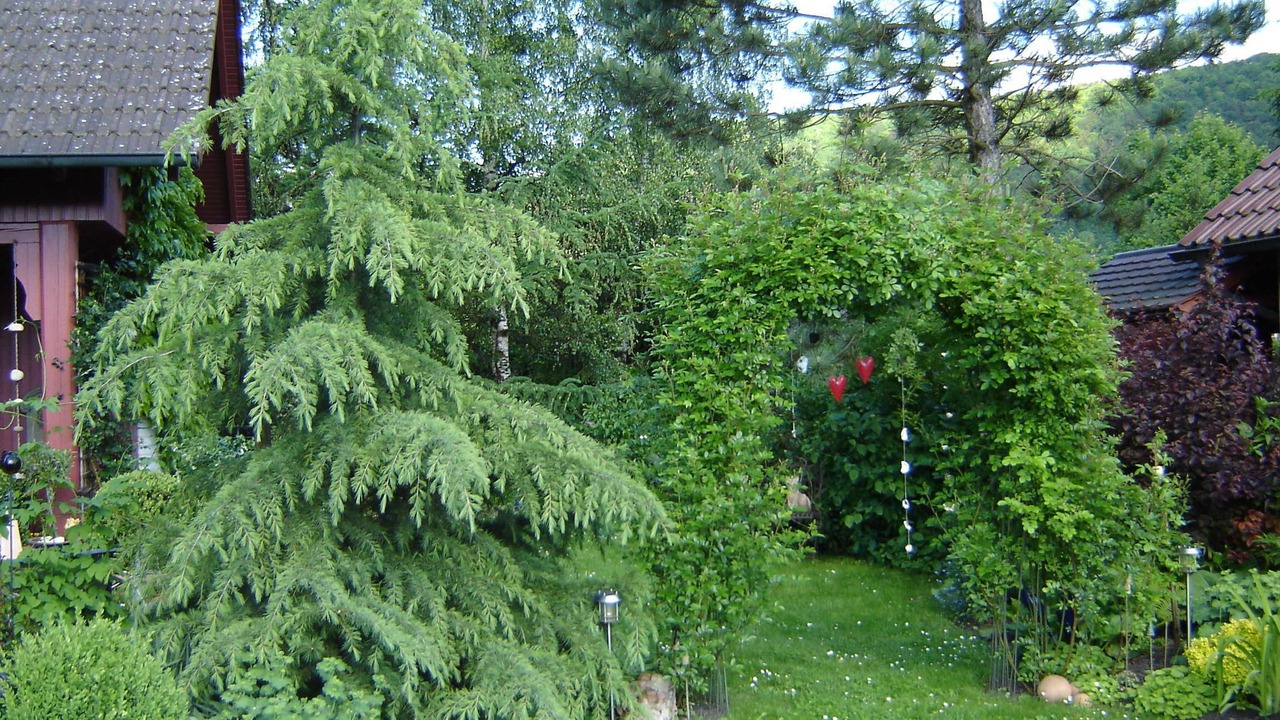Photo of Outdoor in Ebermannstadt