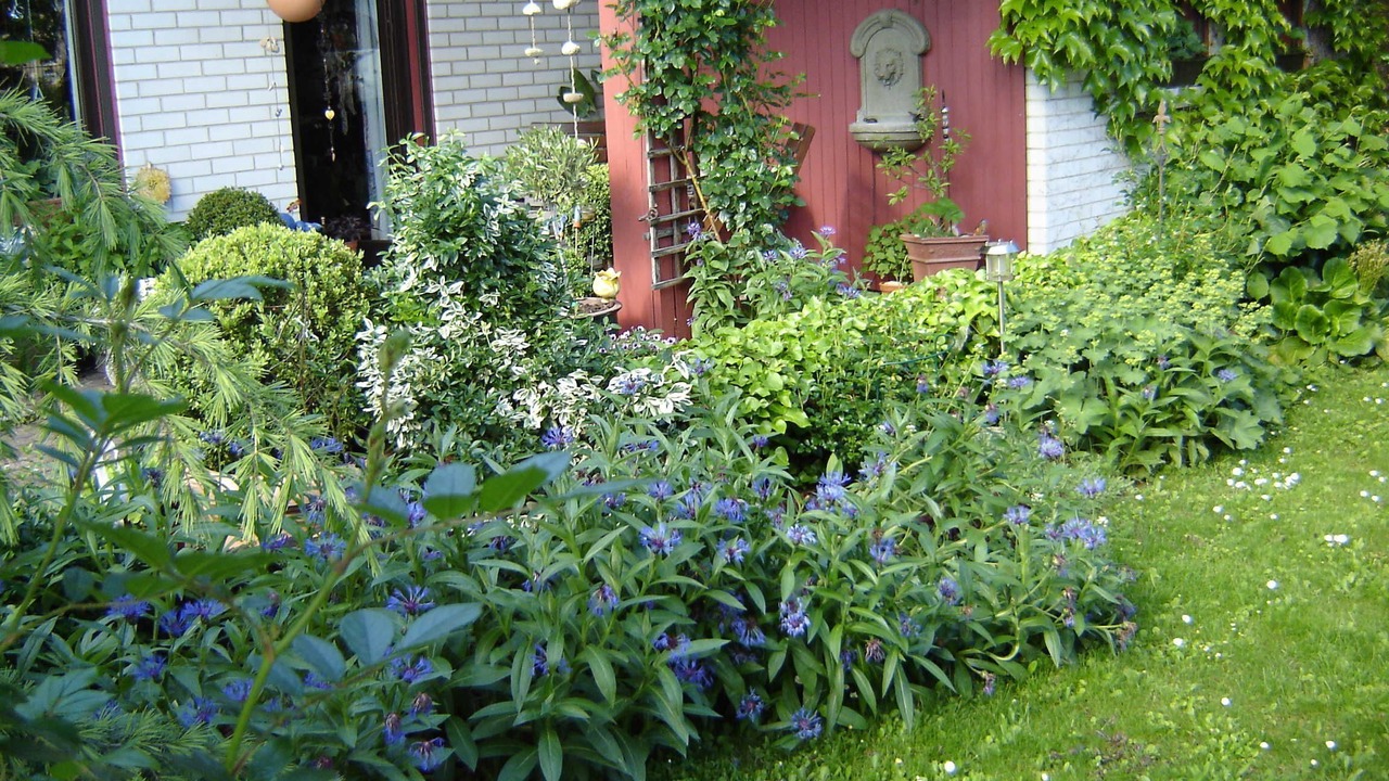Photo of Outdoor in Ebermannstadt