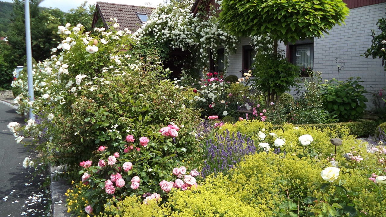 Photo of Outdoor in Ebermannstadt