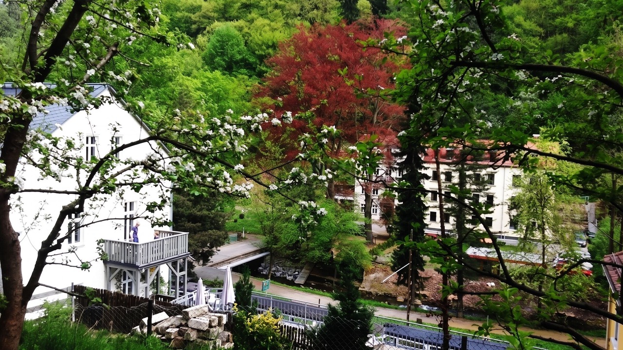Photo of Others in Bad Schandau